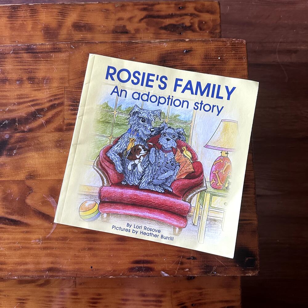 Vintage 2001 Rosie's Family An Adoption Story Paperback Book